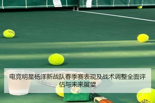 电竞明星杨洋新战队春季赛表现及战术调整全面评估与未来展望（IM SPORTS）